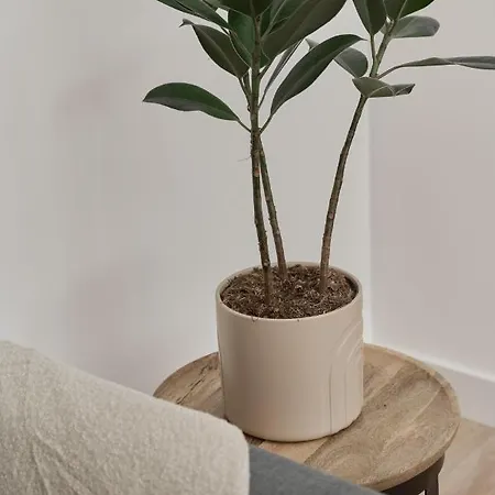 Lokum Vena By Renters